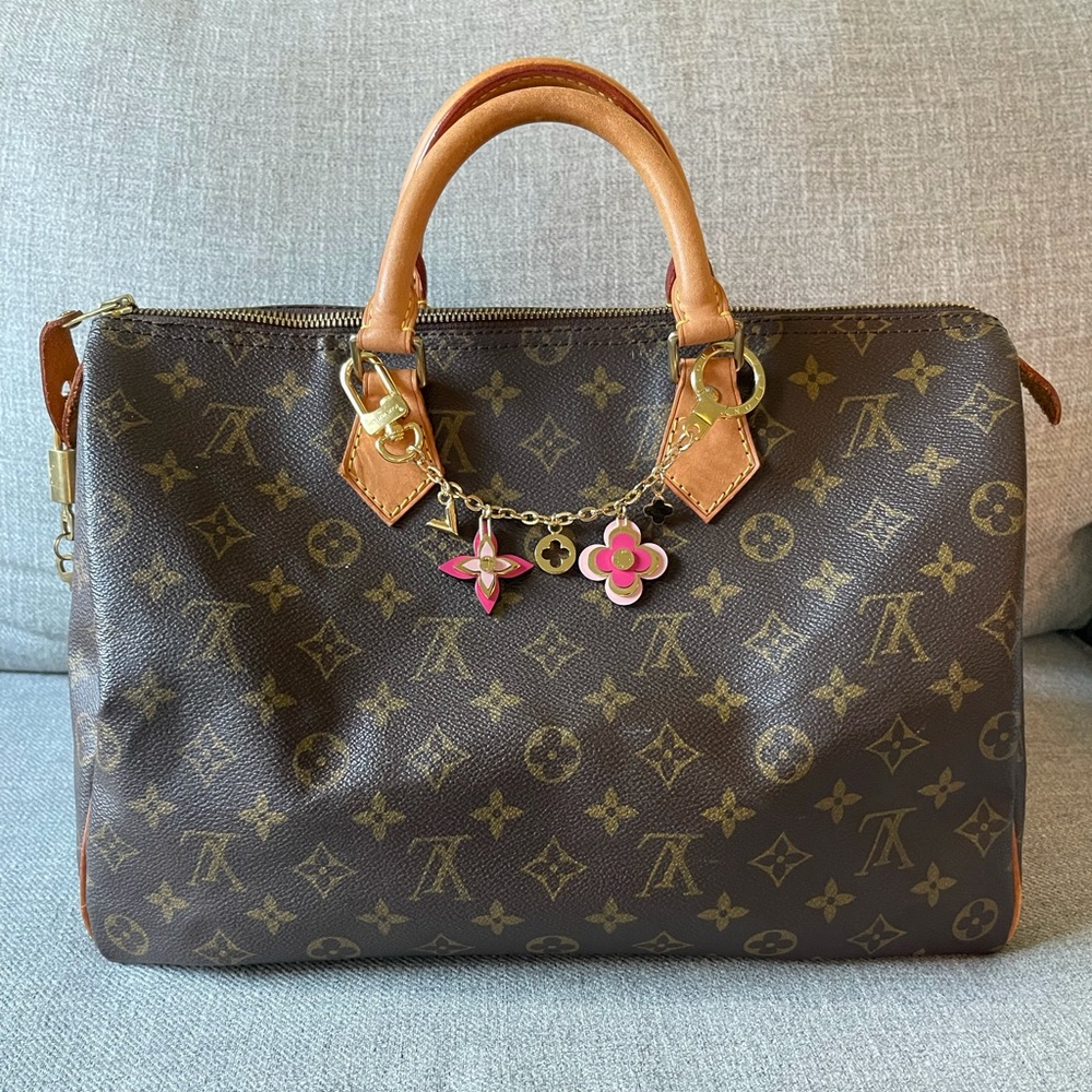Louis Vuitton Speedy 35